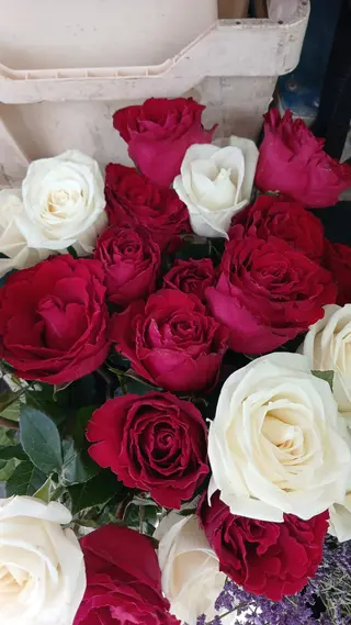 Rose mazzo misto