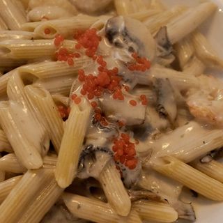 Penne Sarraccena