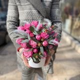 ჟოლოსფერი ვარდი