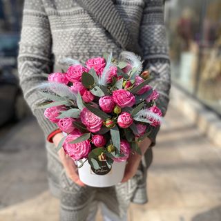 ჟოლოსფერი ვარდი