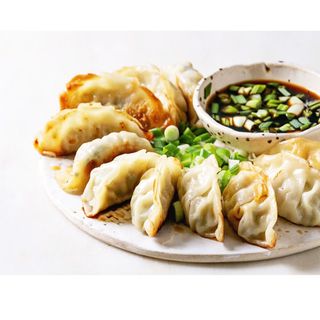 Gyoza variado 16u