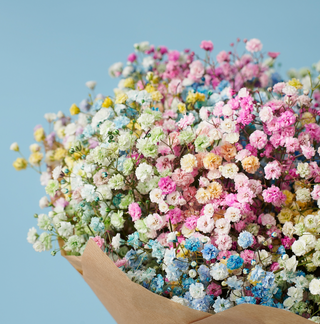 ფერადი გიფსოფილა (5ტოტი)