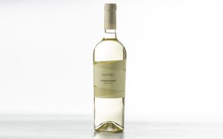 Cantele Chardonnay Puglia IGP 2024 75 cl