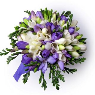 Buchet 29 frezii multicolore