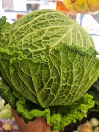 Verza riccia circa 1kg