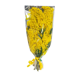 PICCCOLO MAZZO DI MIMOSA E 1 ROSE ROSSO