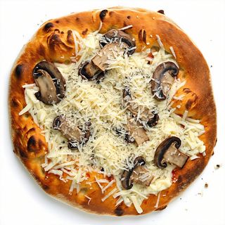 Funghi freschi