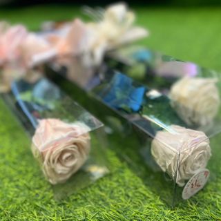 Wieczna róża biała 