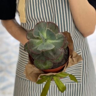 Лунный Песок