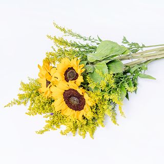 Czarujące słoneczniki 3 sztuki 