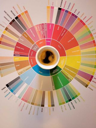 Double Espresso - 40 ml