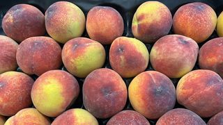 Pesche noci