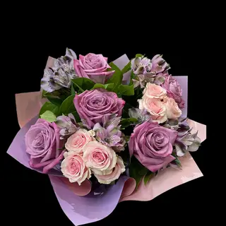 Purple Pastel