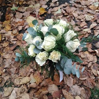 Buchet 13 trandafiri albi