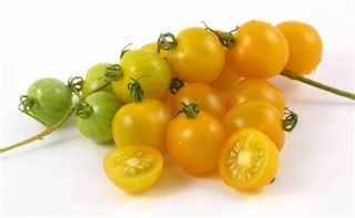 Pomodorini gialli 1 kg