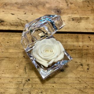 Caja pequeña de rosa preservada de color blanco