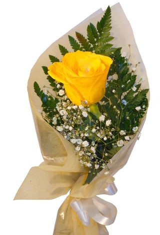 Rosa Amarilla Unidad  natural jarrón 