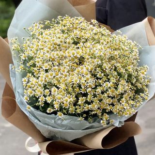 25 crengute de romanita