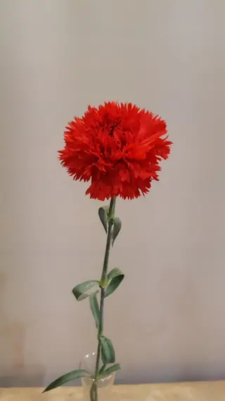 Clavel