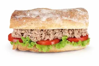 Sandwich Thon