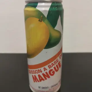 296 - Sumo de Manga Chinês 25cl