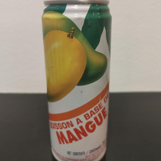 296 - Sumo de Manga Chinês 25cl