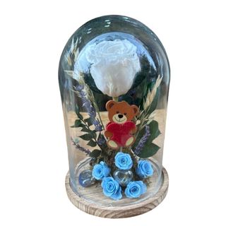 Cúpula Rosa Eterna Blanca (25 Cm.)