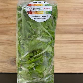 Lattughino 100gr circa