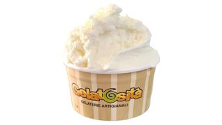 Gelato al limone senza lattosio - vegan 250gr