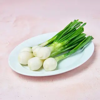 Mladi luk