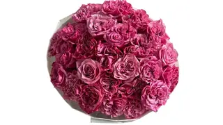 Bukiet Fuchsia Crush
