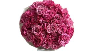 Bukiet Fuchsia Crush