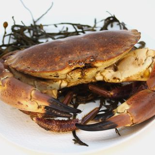 Buey De Mar Cantábrico (800 gr., ideal para 2 personas)