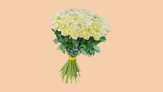 150 თეთრი დიდებულება