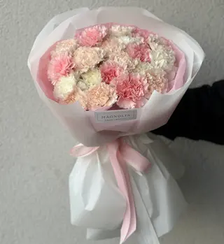 Bukiet z 25 pastelowych goździków