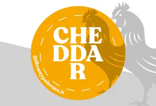 Salsa Cheddar
