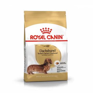 D Rc Dog Bassotto 1.5kg