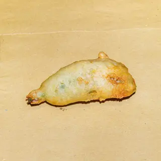 Fiori di Zucca