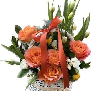 Floricele pe câmpii