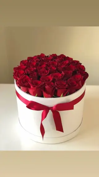 Box G Royal Red Box