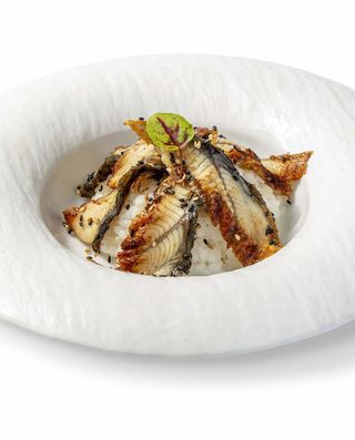 623. Chirashi anguilla