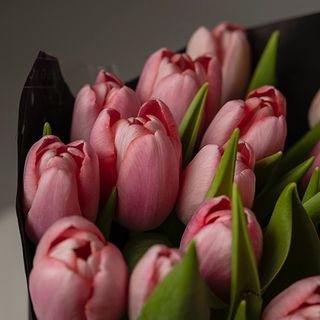 Ramo De 10 Tulipanes Rosas