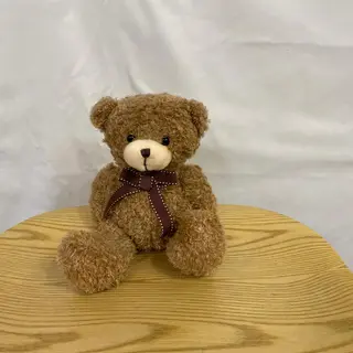 Os de peluix