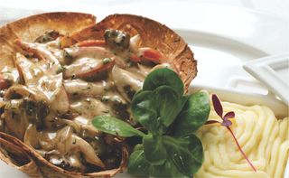 ბიფსტროგანოვი