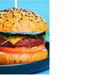 Beyond burger (480g)