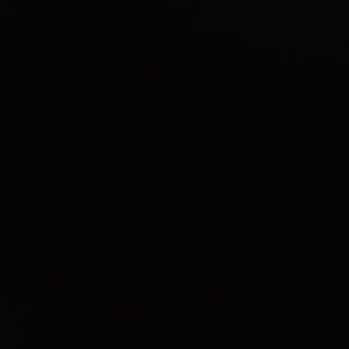 Calamar la plita incinsa