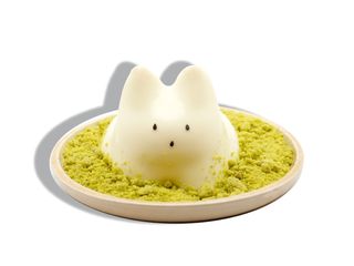 Matcha Cat Pudding