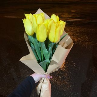 ყვითელი ტიტები , 10 ტოტი ( ჰოლანდიური)