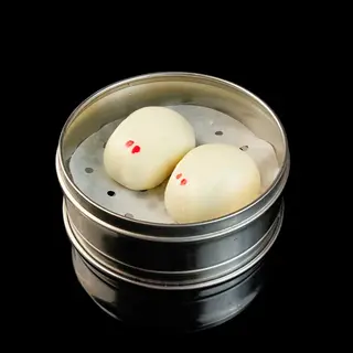 Yutu bao 2U