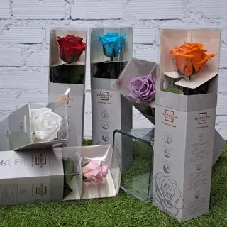 Rosa Preservada Mini